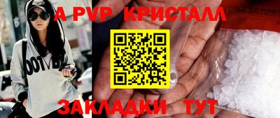 амф Кингисепп