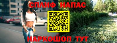 PSILOCYBIN Кимры