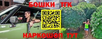 амф Кингисепп