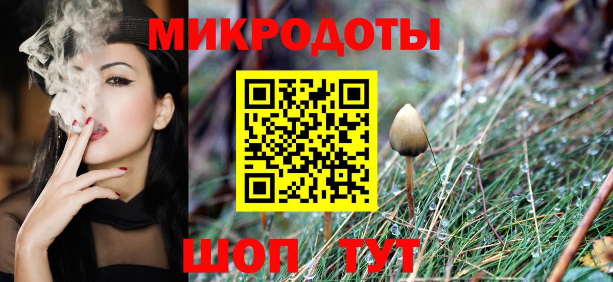 Галлюциногенные грибы мухоморы Железногорск