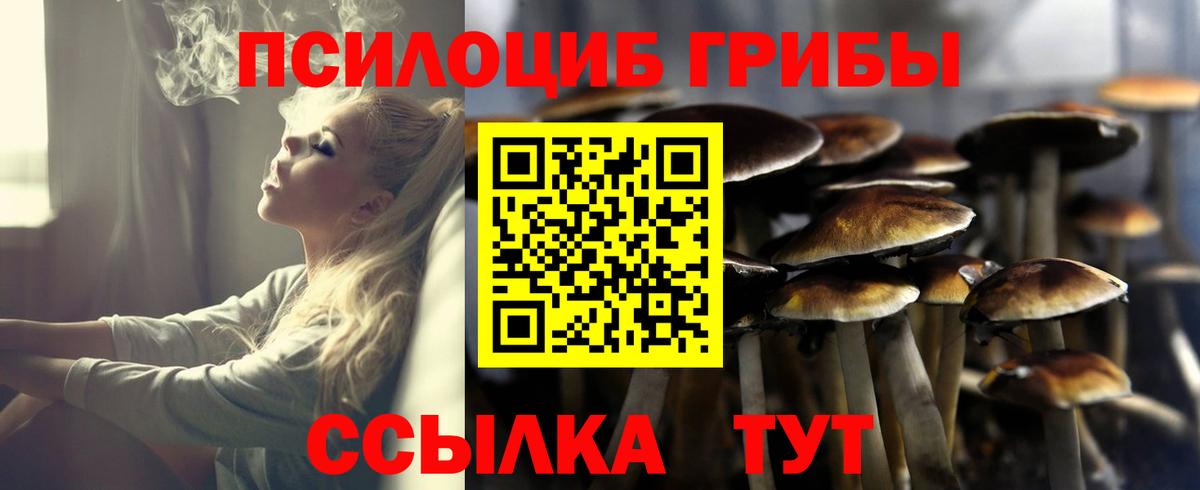 Псилоцибиновые грибы прущие грибы  Вход с VPN  Железногорск  Псилоцибиновые грибы Psilocybine cubensis 